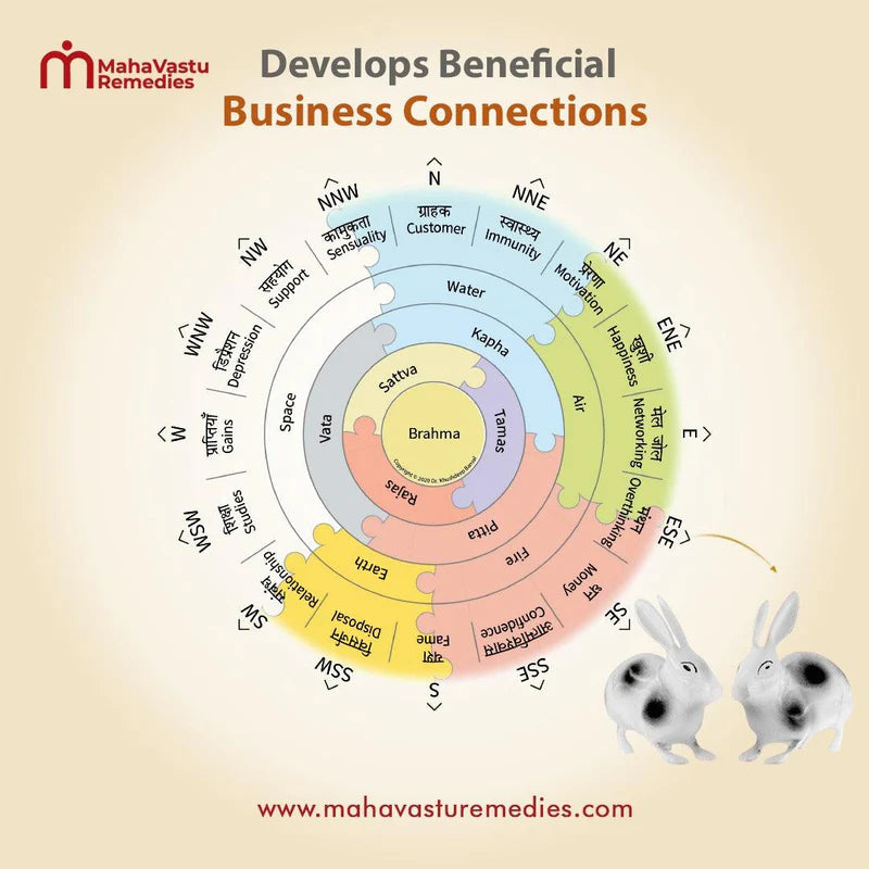 Rabbits - Develops Beneficial Business Connections